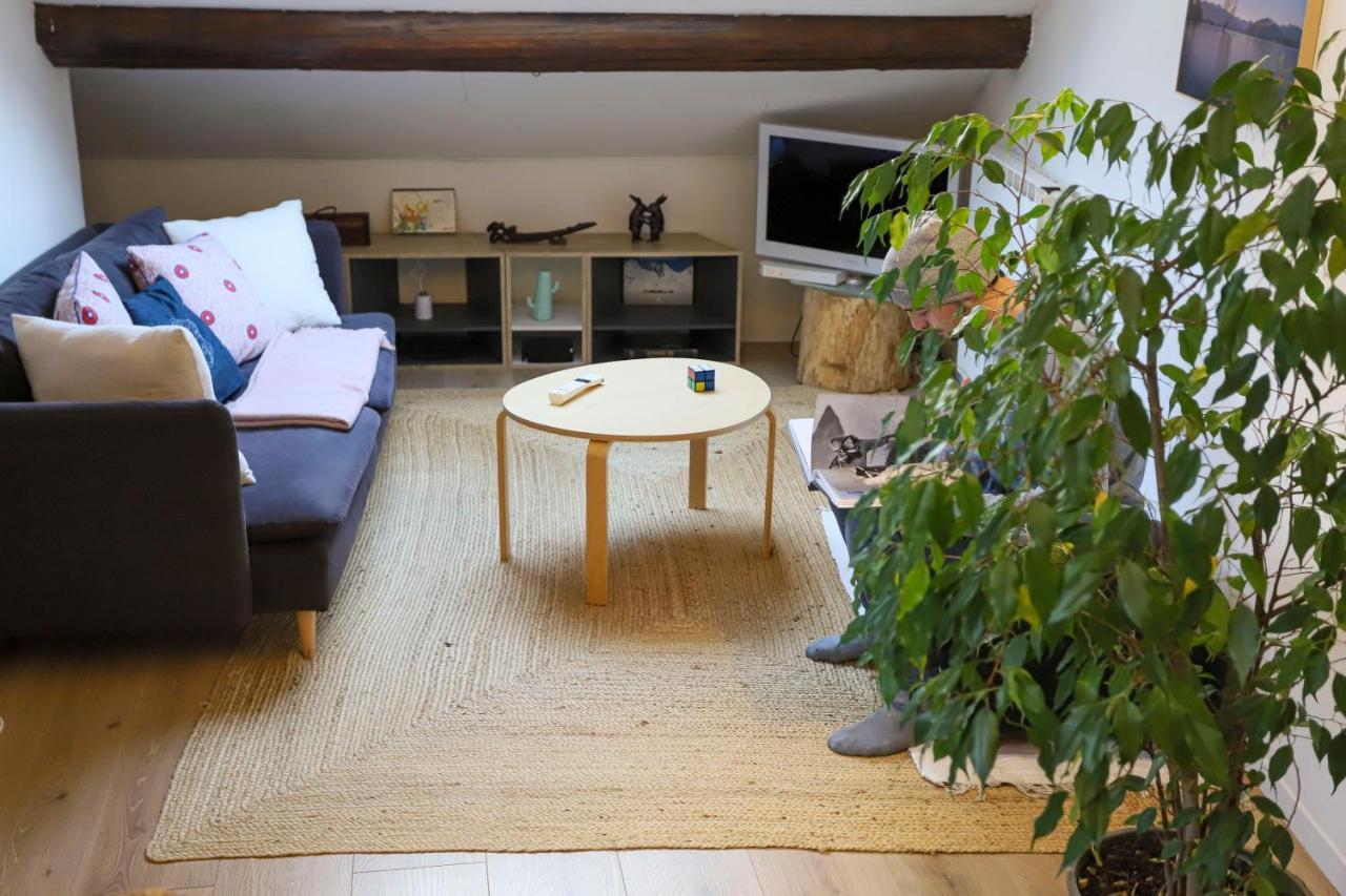 Petit-Coeur Charmant En Centre Ville Apartment อานซี ภายนอก รูปภาพ