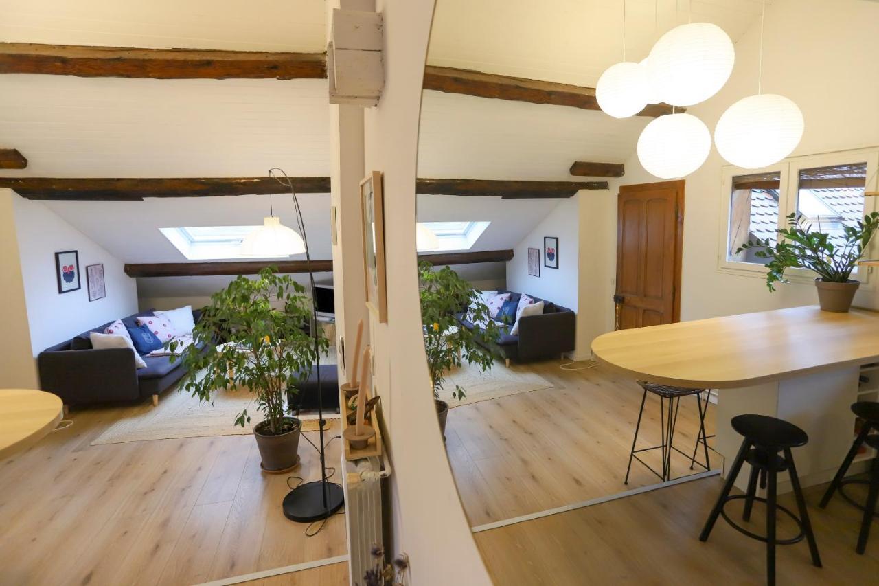 Petit-Coeur Charmant En Centre Ville Apartment อานซี ภายนอก รูปภาพ